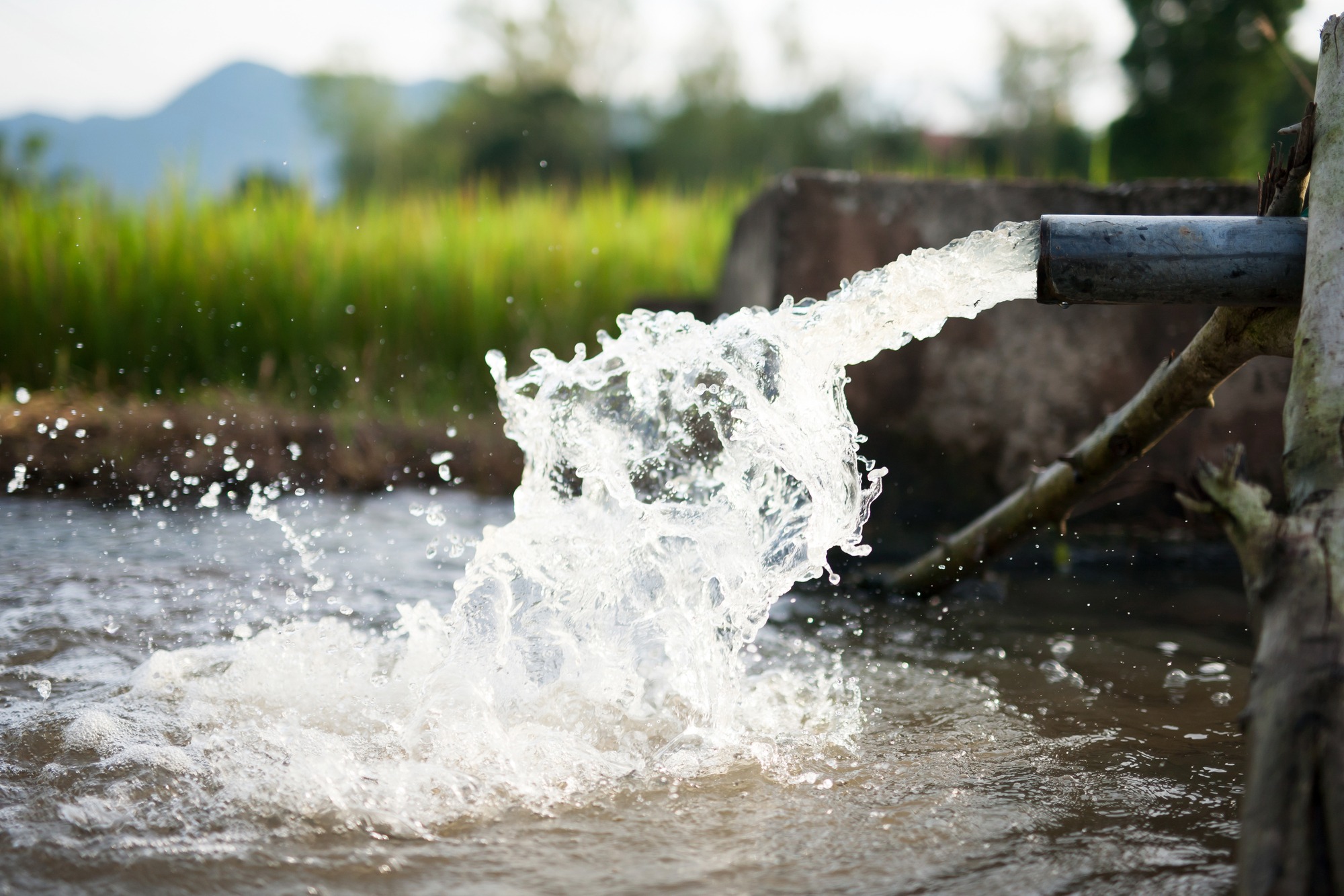 Water gushes forcefully from a pipe into an irrigation channel, creating dramatic splashes against a backdrop of lush green rice fields and distant mountains in a rural agricultural setting.Retry